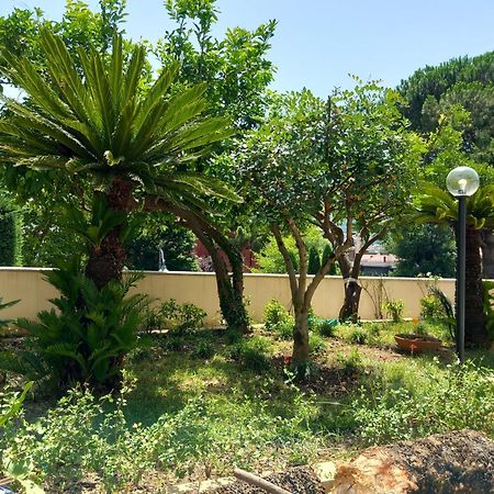 Villa Maria Cristina D'Amico Cava deʼ Tirreni Exteriér fotografie