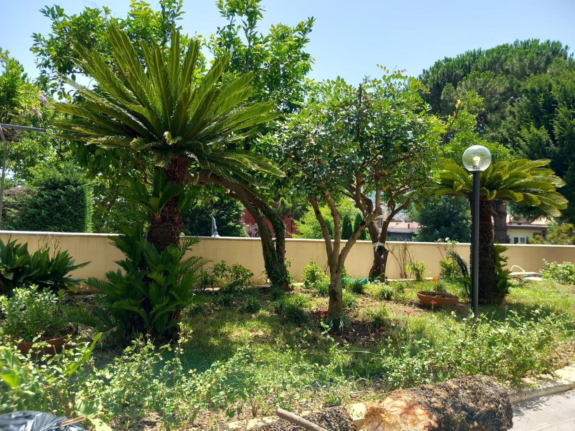 Villa Maria Cristina D'Amico Cava deʼ Tirreni Exteriér fotografie